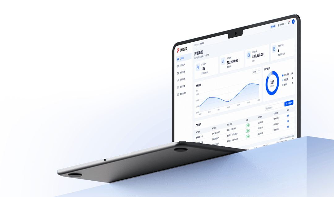 Account management interface
